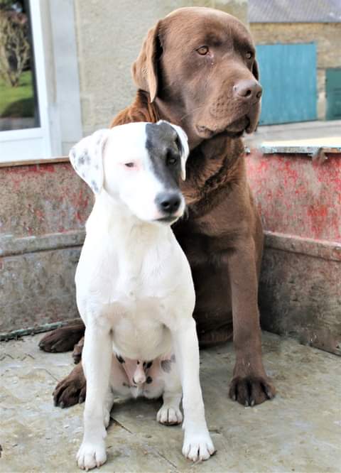 Milou et Eliott
