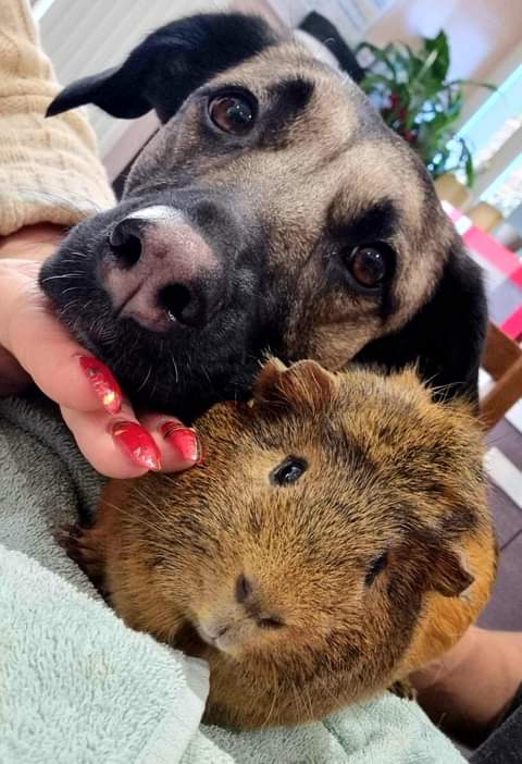 Tessa & Jerry