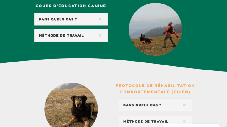 Oh My Pet Page